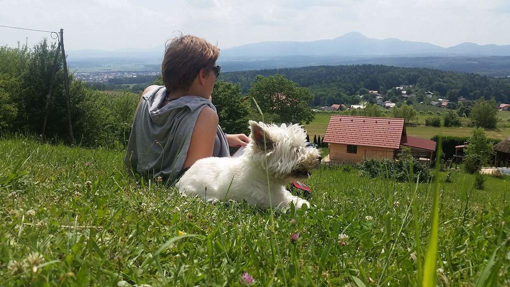 Panorama Glamping Visole Otel Slovenska Bistrica Dış mekan fotoğraf
